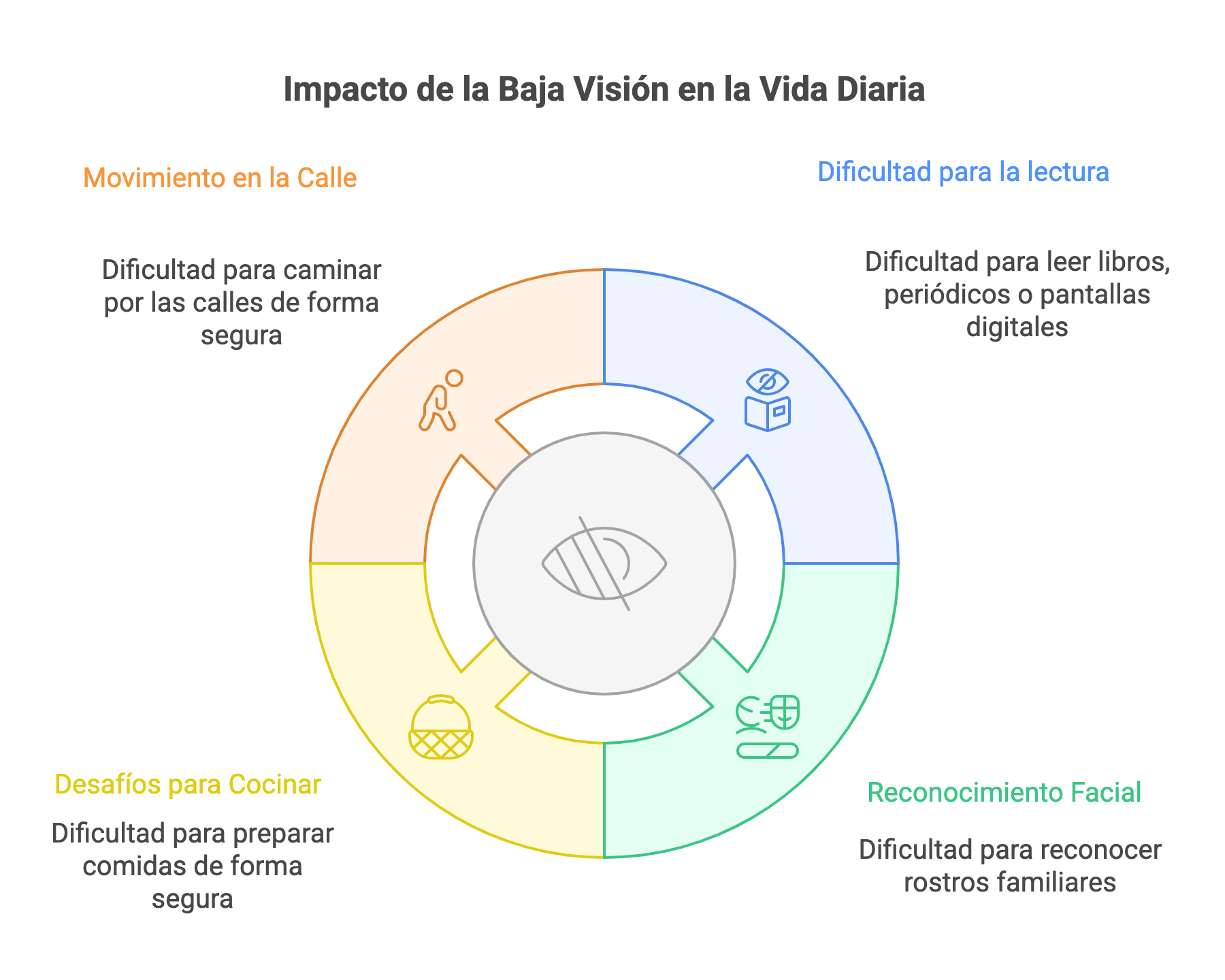 Impacto de la baja visión en la vida diaria. Incluye movimiento en la calle (dificultad para caminar por las calles de forma segura), dificultad para la lectura (dificultad para leer libros, periódicos o pantallas digitales), desafíos para cocinar (dificultad para preparar comidas de forma segura) y reconocimiento facial (dificultad para reconocer rostros familiares).